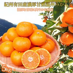 [発送月固定定期便]紀州和歌山産旬の柑橘セット(みかん・ポンカン・清見)全3回