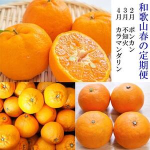 [発送月固定定期便]和歌山の春柑橘定期便全3回