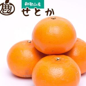 [2月より発送]厳選 せとか0.8kg+24g(傷み補償分)[春みかんの王様][光センサー選別][配送不可地域:離島・北海道・沖縄県]