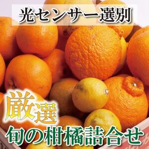 [1月より発送]厳選旬の柑橘詰合せ5kg+150g(傷み補償分)[有田の春みかん][光センサー選別][配送不可地域:離島・北海道・沖縄県]