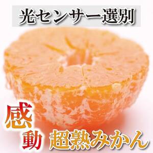 [2024年11月より発送]家庭用 超熟有田みかん2.5kg+75g(傷み補償分)[訳あり][配送不可地域:離島・北海道・沖縄県]