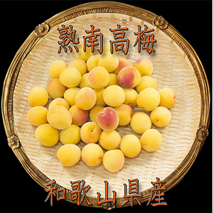 2026/6蔭y~E~pzIBa̎Ȑn썂~2LorL-10kgyzsnFEkCEꌧzy1375212z