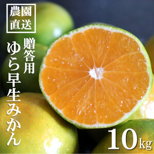 ystza̎RY@瑁݂@p@Gi@10kg@2S`2LTCYy1482415z