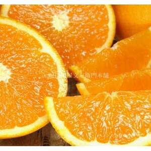 IW[6kg]a̎R󒬓cY t݂(ʎTCY܂) y1284461z