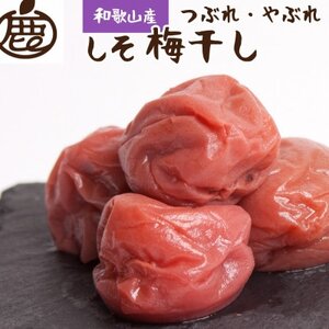 しそ梅干し500g[紀州南高梅][つぶれ梅・やぶれ梅・家庭用・訳あり]