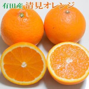 [濃厚]有田産清見オレンジ約5kg(M〜3Lサイズおまかせ)ご家庭用(日高町)