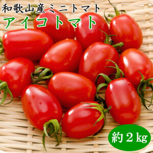 [12月出荷分]和歌山産ミニトマト「アイコトマト」約2kg(S・Mサイズおまかせ)(日高町)[配送不可地域:離島・北海道・沖縄県]