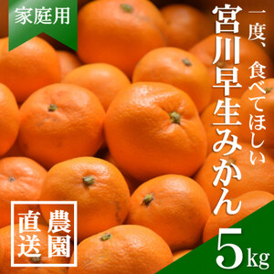 [先行受付]和歌山産 家庭用 宮川早生みかん 約5kg 2S〜2Lサイズ[訳ありみかん][配送不可地域:離島・北海道・沖縄県]