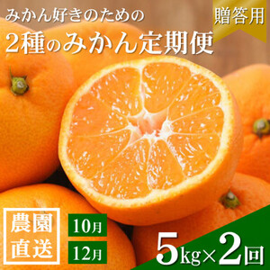 【発送月固定定期便】みかん好きに食べてほしい 2種のみかん定期便　各5kg【贈答用・秀品】全2回【配送不可地域：離島・北海道・沖縄県】【4053555】