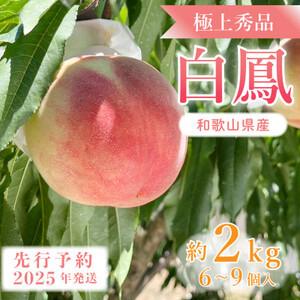 先行受付!　桃の王様【白鳳】　特秀品　約2kg　6～9個入【配送不可地域：離島】【1525326】