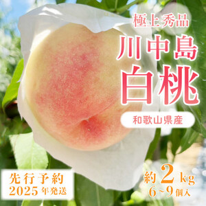 先行受付! 桃[川中島白桃] (大玉特秀品) 約2kg 6〜9個入 こだわり農家厳選![配送不可地域:離島]