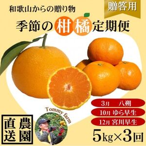 [発送月固定定期便]和歌山からの贈り物 農園直送 季節の柑橘定期便(贈答用) 各5kg全3回[配送不可地域:離島・北海道・沖縄県]