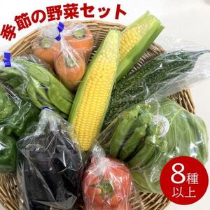 ファーマーズマーケット厳選 日高からの贈り物 季節の野菜セット(8種以上)[野菜詰め合わせ][配送不可地域:離島]