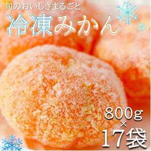 {̔̂܂܂݂!Oނ܂邲ƗⓀ݂@13.6kg(800g×17܃Zbg)yzsnFzy1527828z