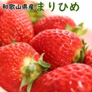 [2025年4月より順次発送]和歌山県産ブランドいちご「まりひめ」約300g×2パック入り(日高町)[配送不可地域:離島・北海道・沖縄県]