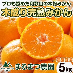 [2024年12月順次発送]完熟濃厚 木成り温州みかん ミックスサイズ 5kg 和歌山県産[配送不可地域:離島]