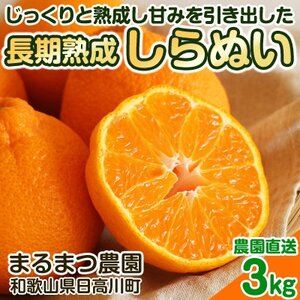 [2025年5月順次発送]濃厚なコクと甘さ 長期熟成しらぬい 3kg 農家直送 和歌山県産