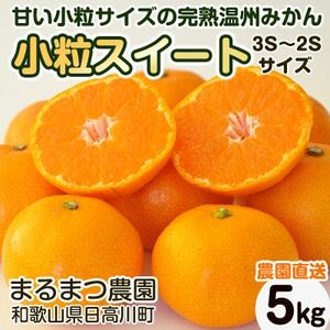 [2024年12月順次発送]濃厚完熟 木成り温州みかん 小粒スイート 5kg 和歌山県産[配送不可地域:離島]