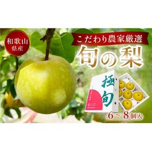 先行予約! 旬の梨 極上秀品(中玉〜大玉)6〜8個入り 2025年8月中旬頃から発送[配送不可地域:離島]