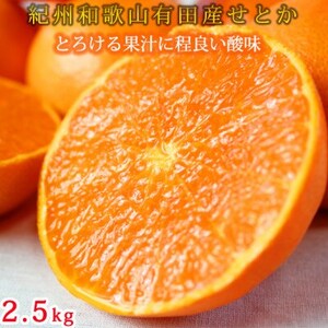 とろける食感!ジューシー柑橘 せとか 約2.5kg