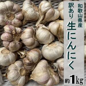 和歌山県産生にんにく約1kg ご家庭用(日高町)