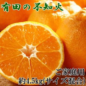 [濃厚]有田の不知火約4.5kgご家庭用向け(サイズ混合)[日高町]