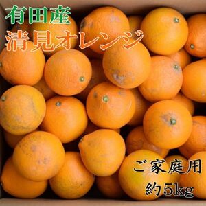 [濃厚]有田産清見オレンジ約5kg(M〜3Lサイズいずれかまたは混合)ご家庭用(日高町)