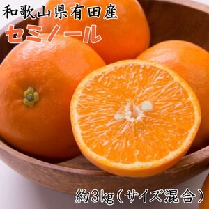 [濃厚オレンジ]和歌山有田産セミノール約3kg(サイズ混合 秀品)(日高町)