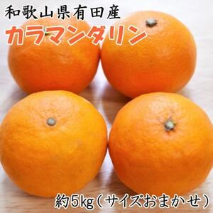 [春みかん]和歌山有田産カラマンダリン約5kg(サイズおまかせ)[日高町]
