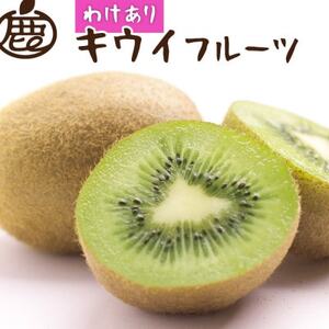 [11月より順次発送]わけあり キウイ1kg+250g(傷み補償分)[訳あり・扁平果][配送不可地域:北海道・沖縄県]