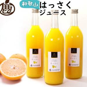 Y͂W[X720ml×3{y100%Xg[gW[XzykEʏ`zyzsnFEkCEꌧzy1641242z