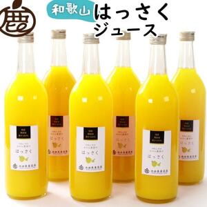Y͂W[X720ml×6{y100%Xg[gW[XzykEʏ`zyzsnFEkCEꌧzy1641249z