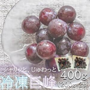 {̔̂܂!VbƁAƗⓀ(Ԃǂ)@400g(200g×2)yzsnFzy1649987z