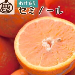 家庭用 セミノールオレンジ1kg+250g(傷み補償分)[春みかん][訳あり][光センサー選果][配送不可地域:離島・北海道・沖縄県]