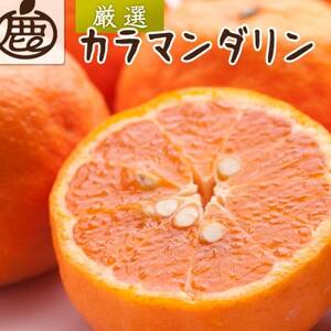 厳選 カラマンダリン1kg+250g(傷み補償分)[南津海・なつみ][希少な春柑橘][配送不可地域:離島・北海道・沖縄県]