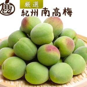 I IB썂~(~)2kg+250g(ݕ⏞)y~E~E~W[XɁzyzsnFEkCEꌧzy1661964z