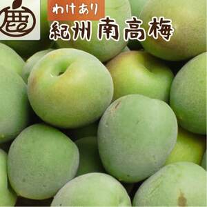 ƒp IB썂~(~)1kg+250g(ݕ⏞)y~E~W[XɁzy󂠂zyzsnFEkCEꌧzy1661974z