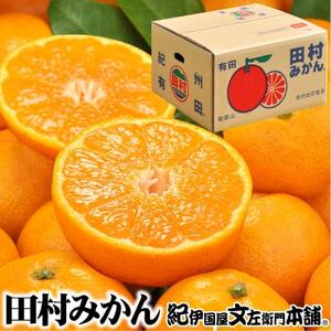 田村みかん[秀品 9kg]大玉サイズ 湯浅町田村地区産/産地直送