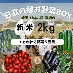 日高の郷 無洗米つきお野菜BOX(白米)[配送不可地域:離島]