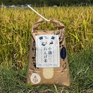 2025Nx(ߘa7N)Y!Y̖āuY񂰕āv10kgy1680207z