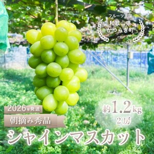 ぶどう先行予約! シャインマスカット秀品 2房(約1.2kg)こだわり農家厳選![配送不可地域:離島]