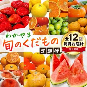 【発送月固定定期便】わかやま旬のくだもの【S】全12回【配送不可地域：離島・北海道・沖縄県】【4079420】