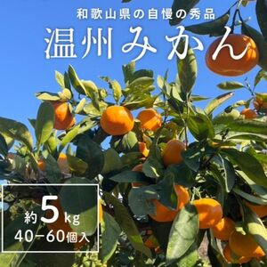 温州みかん先行予約!和歌山県産ミカン約5kg(40個〜60個入)秀品 味に自信あり!こだわり農家厳選