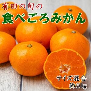 「農園直送」有田の旬の食べごろみかん約5kg(サイズ混合)(日高町)