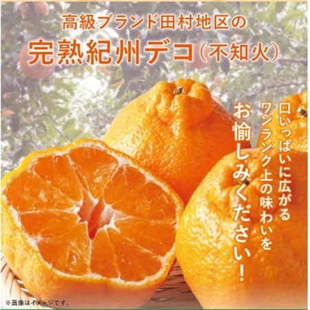 高級ブランド田村の完熟紀州デコ(不知火)約8kg【1719058】