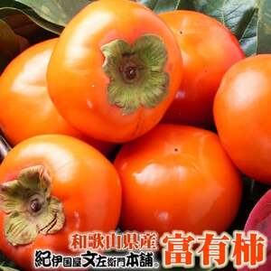 [2026年11月上旬以降順次発送]富有柿[秀品:サイズ・品種おまかせ] 約7.5kg