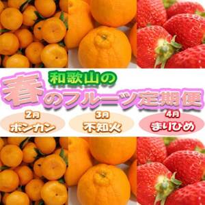 [発送月固定定期便]和歌山の春のフルーツ(ポンカン・不知火・まりひめ)全3回[配送不可地域:離島・北海道・沖縄県]