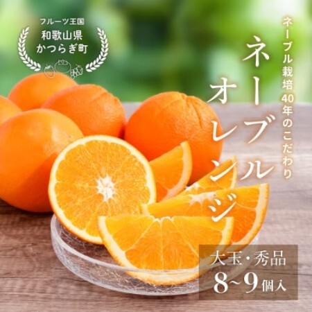 先行予約! 和歌山県産ネーブル 約4kg 大玉!(8個〜9個)秀品 こだわり農家厳選!
