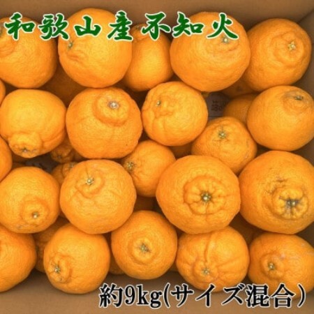 「農園直送」和歌山県産不知火 もりもりの約9kg(サイズ混合 ご家庭用)(日高町)
