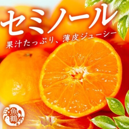 ジューシー柑橘 セミノールオレンジ 5kg[配送不可地域:離島]